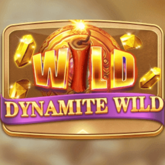 dynamite wild